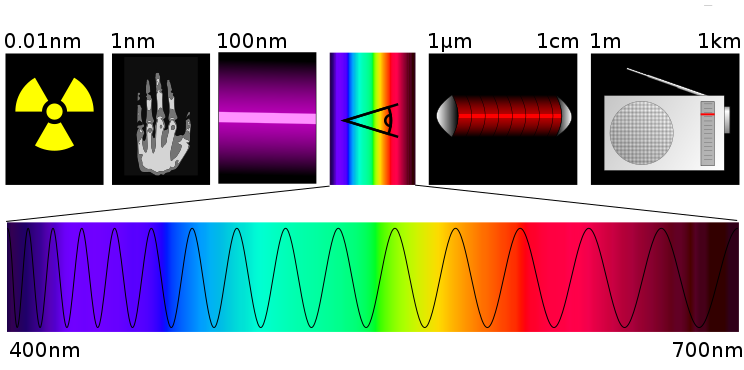 Chart illustrating the wavelengths of different colors. Purple has the shortest wavelength and highest frequency, while red has the longest wavelength and lowest frequency. 