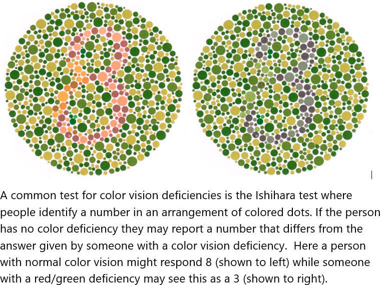 Example of the Ishihara test of color vision. 