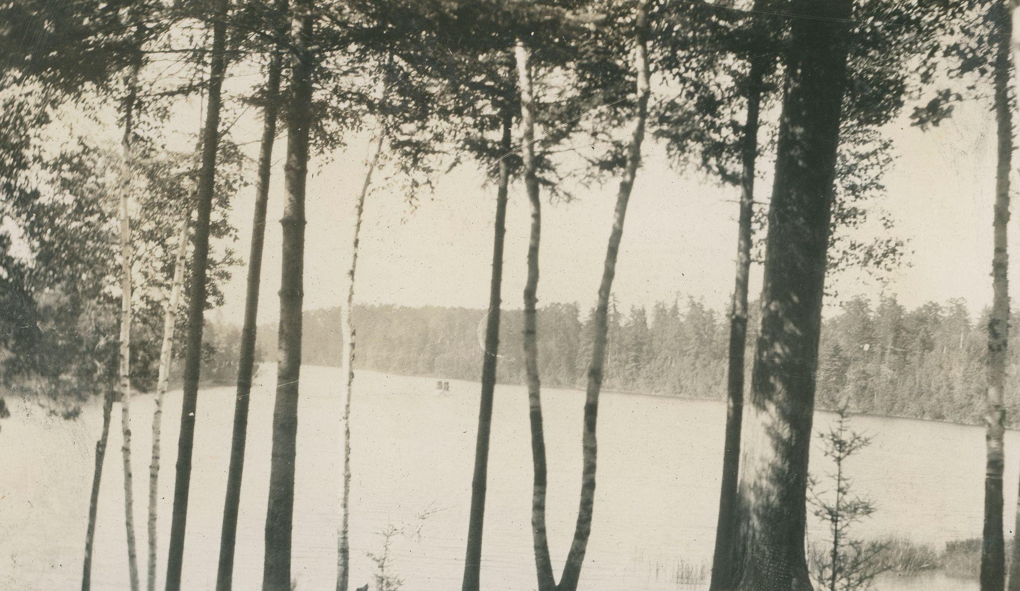 A line of trees cuts vertically across a lake in the background. 