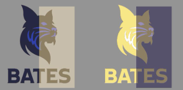 Kahan's Bates Bobcat illusion - the rectangular region of the bobcat on the left is identical in color to the rectangular region of the bobcat on the right but should appear black and blue on the left (because the background lighting is golden) and should appear gold and white on the right (because the background lighting is blue).