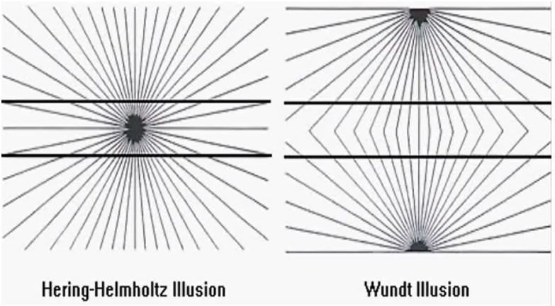 Examples of the Hering-Helmhotz and Wundt illusions.