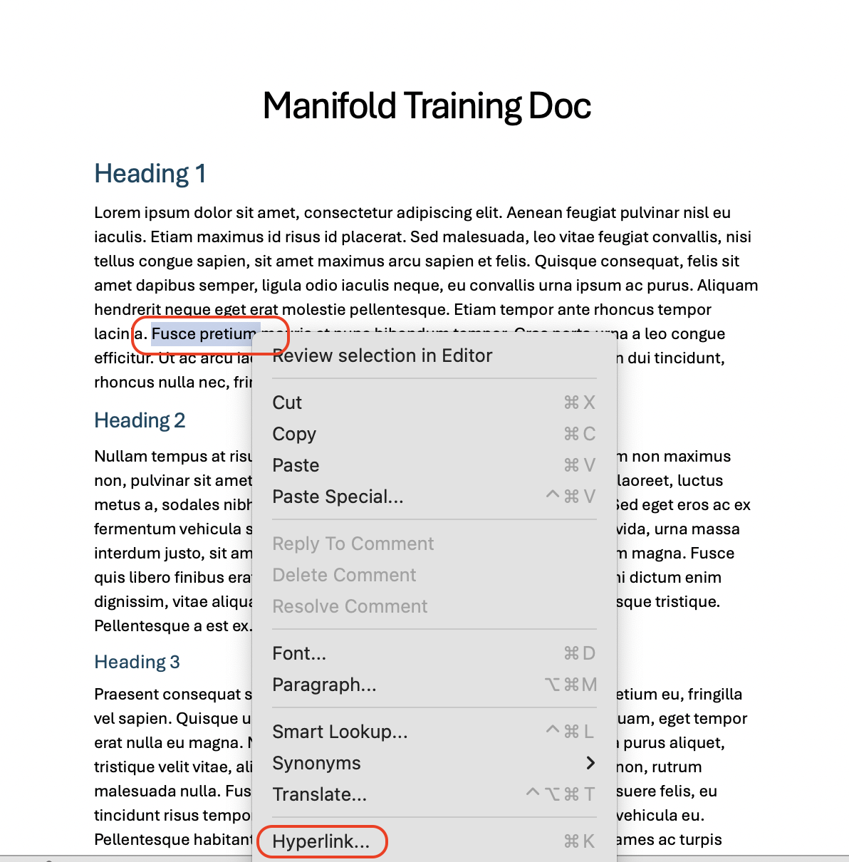 Screenshot of Word Doc showing how to hyperlink text with meaningful text.