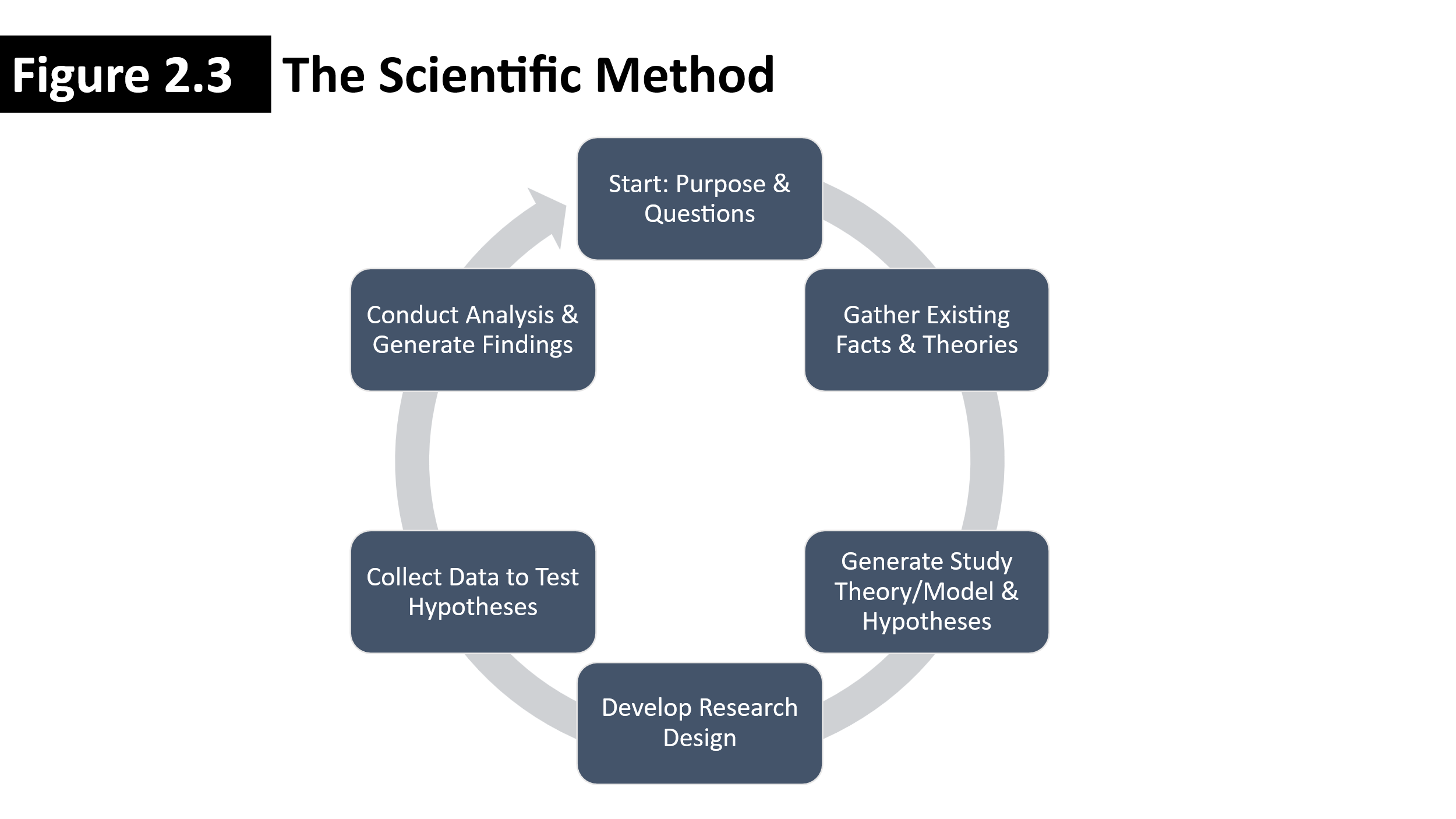 A circular arrow showing the steps of the scientific method