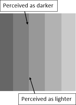 Visual illusion where different regions of a gradient are perceived as either darker or lighter due to contrast effects. Labels indicate areas that are "perceived as darker" and "perceived as lighter."