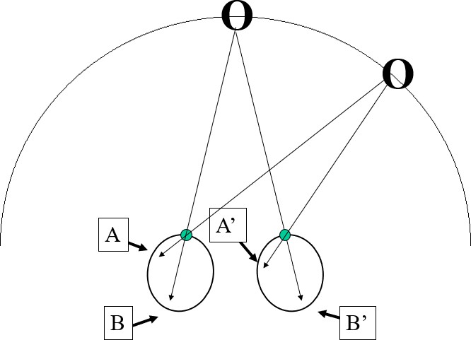 Illustraction showing light from objects on the horopter will land on corresponding retinal spots. "Light from objects on the horopter.