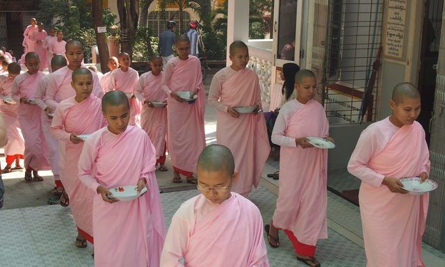 Buddhist nuns in Myanmar