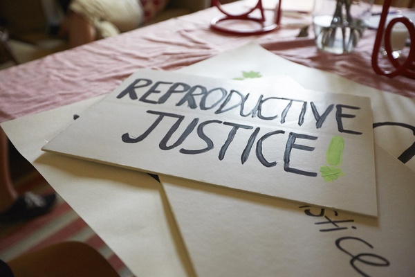 Reproductive justice asserts that people should have the right to have children, not have children, and parent the children we have in safe and sustainable communities